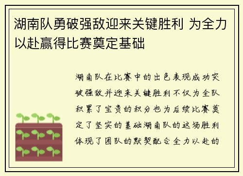 湖南队勇破强敌迎来关键胜利 为全力以赴赢得比赛奠定基础