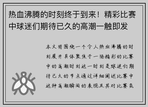 热血沸腾的时刻终于到来！精彩比赛中球迷们期待已久的高潮一触即发