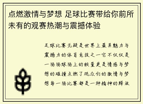 点燃激情与梦想 足球比赛带给你前所未有的观赛热潮与震撼体验